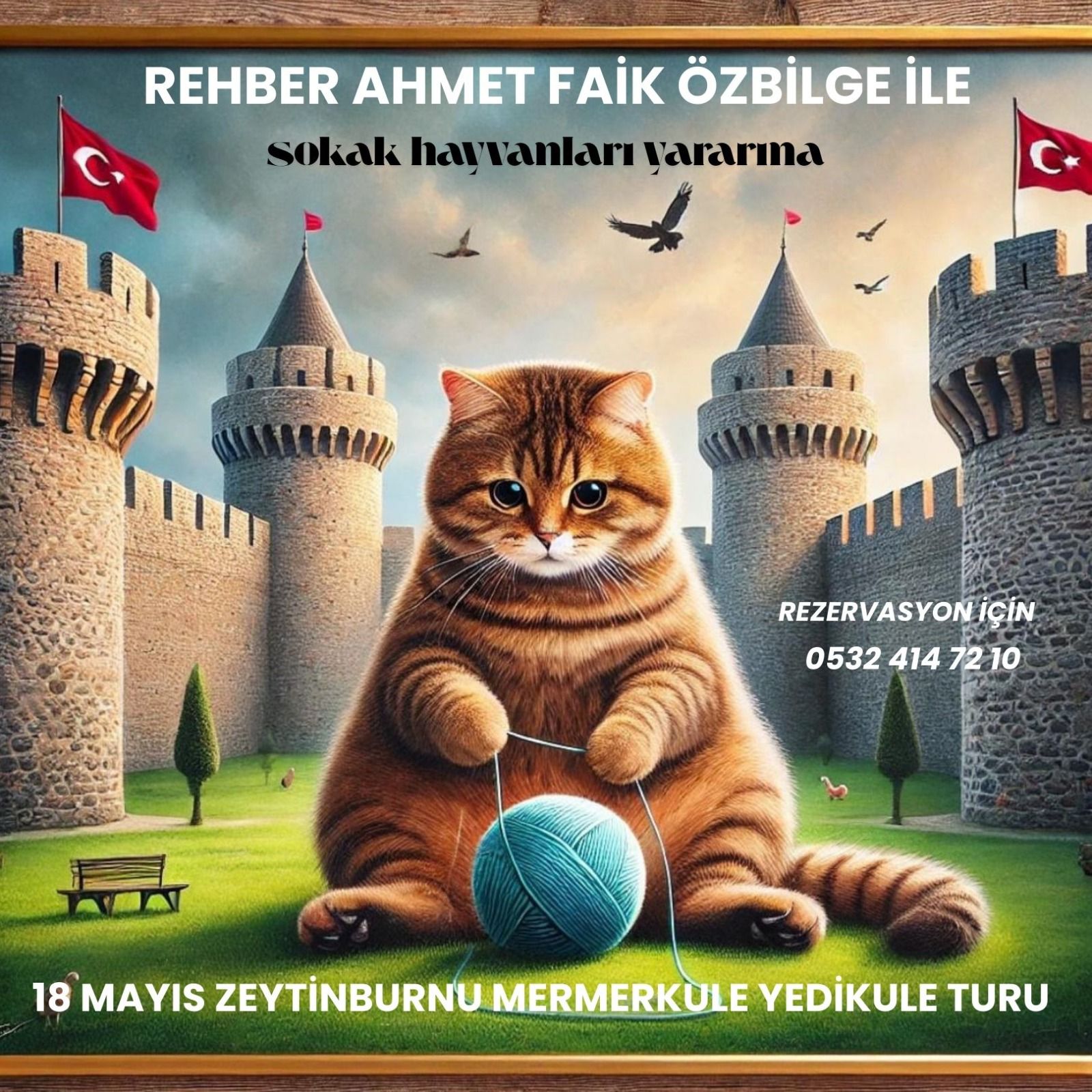 SOKAK HAYVANLARI YARARINA ZEYTİNBURNU MERMERKULE YEDİKULE